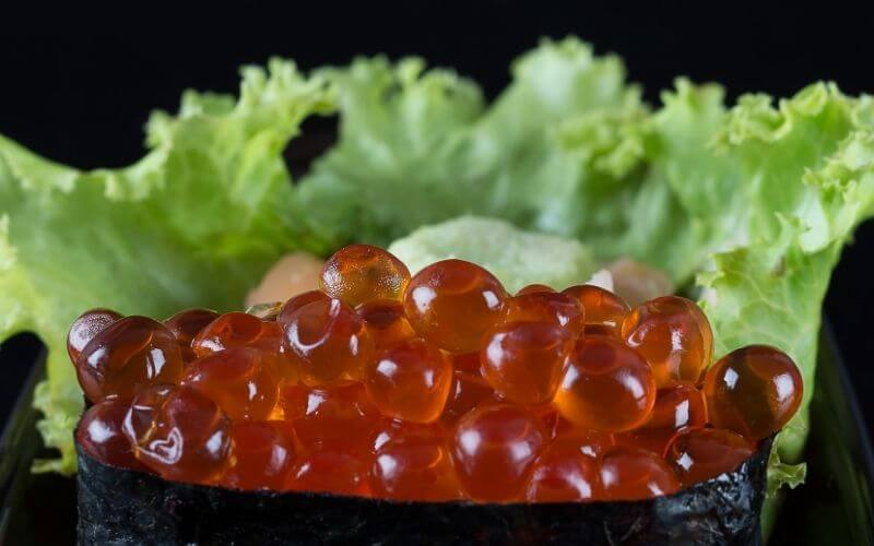 salmon roe nutrition