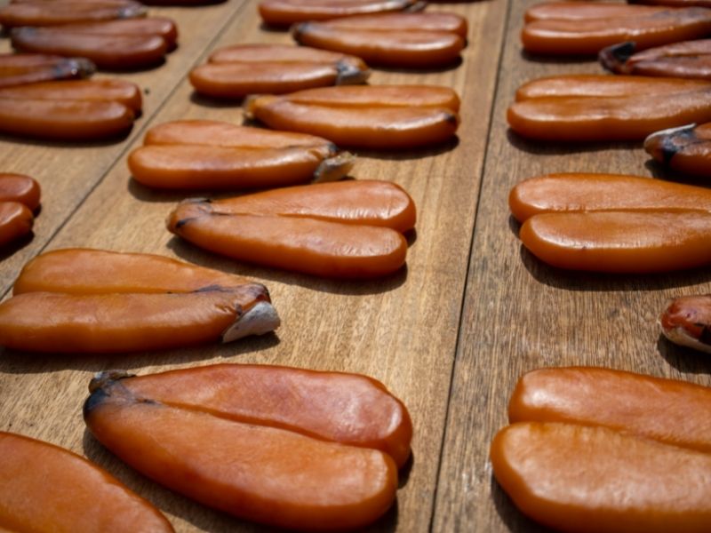 bottarga-origin-and-curiosities 