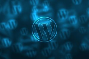 managed-wordpress-article